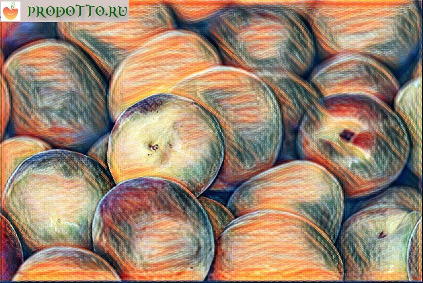 Как выглядят абрикосы, рисунок
